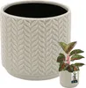 A large ceramic pot with a textured pattern is shown next to a smaller potted plant. Náhled obrázku produktu