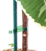 KADAX Garten-Tackerband-Set, 11 mm x 25 m, grün, 20-teilig Produktbild-Vorschau 7