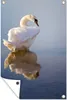 Gartenposter - 40x60 cm - Schwan Fotodruck  - Modernes Produktbild-Vorschau 2