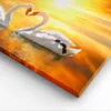 Bild auf Leinwand - Leinwandbild - Schwan Wasser Paar - Produktbild-Vorschau 5