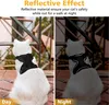 Harnais pour chat avec laisse - Taille S - Harnais de chat Voir les images du produit 2