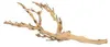 Substrato per terrari Exo Terra Tropical Forest Moss 7l 2 Anteprima dell’immagine prodotto 3
