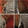 Gerahmtes Poster - Weißer Rahmen - Elefant Rot Ohren - Produktbild-Vorschau 9