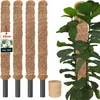KOTARBAU® Sada 4 mechových tyčí pro Monsteru Kokosový ořech Náhled obrázku produktu 1