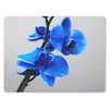 MuchoWow® Mauspad Mousepad Blaue Orchidee 40x30 cm - Produktbild-Vorschau 1