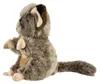 Plüschtier Buschbaby 18 cm, Kuscheltiere Stofftiere Galago Produktbild-Vorschau 4