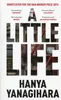 A Little Life Anteprima dell’immagine prodotto 3