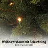 Triumph Tree Arbre de Noël artificiel Bristlecone Fir - Voir les images du produit 9