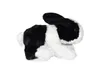 A stuffed toy rabbit on a white background. Náhled obrázku produktu