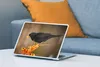 MuchoWow® Laptop Aufkleber Sticker Cover Vogel - Amsel - Produktbild-Vorschau 4