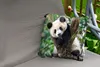 MuchoWow® Outdoor Kissen - Panda - Tiere - Dschungel - Produktbild-Vorschau 2