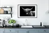 MuchoWow® Gerahmtes Poster Schottischer Highlander - Kuh - Produktbild-Vorschau 4