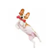Bone Chew Mit Quietschwürfel Hundspielzeug Produktbild-Vorschau 13