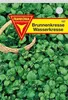 Brunnenkresse Produktbild-Vorschau 1