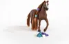 A toy horse with braided mane and tail, surrounded by grooming accessories. Voir les images du produit