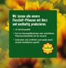 Kulkas zamiolistý FloraSelf Zamioculcas zamiifolia výška Náhled obrázku produktu 5