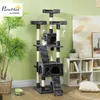 PawHut Kratzbaum 173cm mit Höhle Sisalstämme für kleine Produktbild-Vorschau 2
