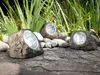 Three solar-powered rock lights are placed on a stone pathway in a garden setting, with tall green plants in the background. Produktbild-Vorschau