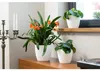 KADAX Blumentopf mit Untersetzer "Tubas", Blumenkübel, Produktbild-Vorschau 14