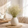 Schleierkraut getrocknet im Bund 50-60cm Gypsophila Produktbild-Vorschau 4