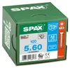 SPAX SeKo T-STAR+ 5,0x 60 A2 KP Produktbild-Vorschau 17