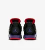 Nike Air Jordan 4 Retro NRG "Raptors", AQ3816-065, rozmiar: Podgląd zdjęcia produktu 2