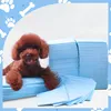 Dionizos Welpenunterlagen 60x90 cm – 100 Stück – 5-lagige Produktbild-Vorschau 8