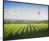 MuchoWow® Gerahmtes Poster Ballon - Traubenpflanze - Licht Produktbild-Vorschau 1
