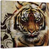 Leinwandbild erwachsener großer tiger 30x30 cm Feeby braun Produktbild-Vorschau 1