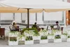 An outdoor cafe seating area with people dining under a large umbrella, with planters in the foreground. Anteprima dell’immagine prodotto