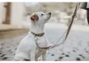 Hunter Inari, Hund, Trainingsleine, Beige, Band, tan, Produktbild-Vorschau 3