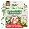 Power Raubmilben gegen Thripse und Spinnmilben, 1 Mix Produktbild-Vorschau 1