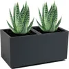 Two aloe vera plants in a dark gray rectangular planter. Produktbild-Vorschau