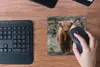 MuchoWow® Mauspad Mousepad Schottischer Hochländer - Moos - Produktbild-Vorschau 4