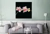 MuchoWow® Poster Orchidee - Blumen - Schwarz - Rosa - Produktbild-Vorschau 5