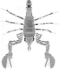 Metal Earth Scorpion, Bausatz, Metall Produktbild-Vorschau 12