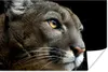 MuchoWow® Poster Puma - Wilde Tiere - Porträt 60x40 cm - Produktbild-Vorschau 1