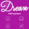 The image shows the word 'Dream' in neon lights, with icons indicating USB power sources. Produktbild-Vorschau