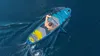 Rebel RBA-4507 Paddleboard SUP con accessori, 335 cm, 140 Anteprima dell’immagine prodotto 19