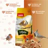 PANTO Fettfutter – 20 kg Wildvogelfutter – mit Körnen, Produktbild-Vorschau 2