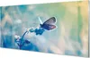 Glasbilder 100x50 Wandkunst bunter Schmetterling Produktbild-Vorschau 1