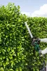 A person is using a cordless hedge trimmer to trim a dense green hedge. Produktbild-Vorschau
