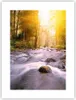 Poster - Poster ohne Rahmen - Herbst Wald Berg Fluss - Produktbild-Vorschau 1