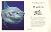 Wundervolle Welt. Wasser Anteprima dell’immagine prodotto 7
