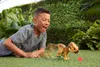 Jurassic World REBIRTH Interactive Roar Back Species Produktbild-Vorschau 12
