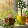 Relaxdays Sfere per l'irrigazione in terracotta, set da 4, Anteprima dell’immagine prodotto 2