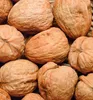 A close-up, overhead view of several whole walnuts. Produktbild-Vorschau