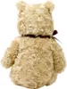 Peluche arcobaleno di Winnie the Pooh dal Bosco dei Cento Anteprima dell’immagine prodotto 4