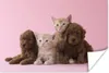 MuchoWow® Poster Kätzchen - Welpe - Rosa 30x20 cm - Plakate Produktbild-Vorschau 1