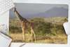 MuchoWow® Schreibtischunterlage Giraffe - Landschaft - Produktbild-Vorschau 5